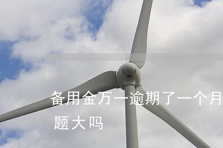 备用金万一逾期了一个月 备用金逾期一天问题大吗