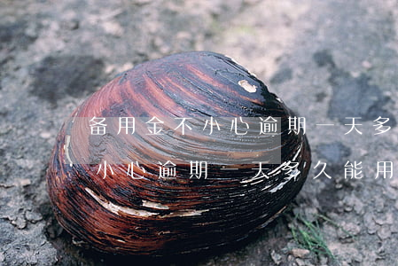备用金不小心逾期一天多久能用-备用金不小心逾期一天多久能用了