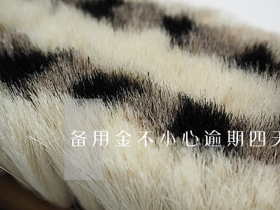 备用金不小心逾期四天多久能用-
