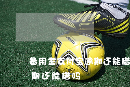备用金支付宝逾期还能借吗(备用金支付宝逾期还能借吗)