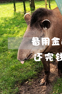 备用金还完钱之后提示有其他逾期-备用金还完钱之后提示有其他逾期怎么办