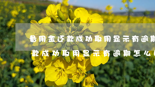 备用金还款成功取用显示有逾期-备用金还款成功取用显示有逾期怎么回事
