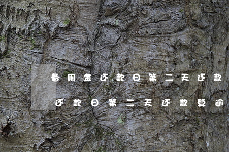 备用金还款日第二天还款算逾期吗-备用金还款日第二天还款算逾期吗怎么办
