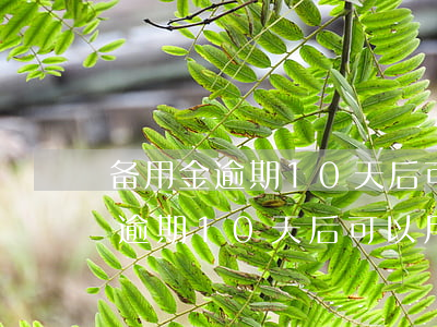 备用金逾期10天后可以用花呗吗-备用金逾期10天后可以用花呗吗