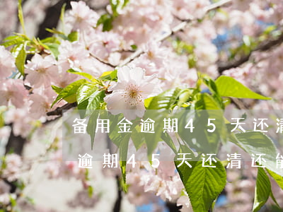 备用金逾期45天还清还能再用吗-备用金逾期45天还清还能再用吗