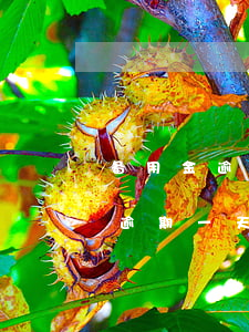 备用金逾期一天会影响花呗借呗嘛-备用金逾期一天会影响借呗吗