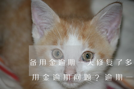 备用金逾期一天修复了多久能用，如何解决备用金逾期问题？逾期一天修复后多久可以使用？