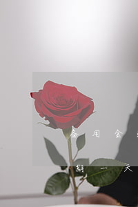 备用金逾期一天就锁了但额度在-备用金逾期一天就锁了但额度在降