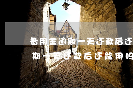 备用金逾期一天还款后还能用吗-备用金逾期一天还款后还能用吗