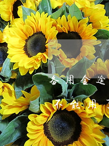 备用金逾期三天还款 备用金逾期三天还款就不能用了吗