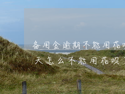 备用金逾期不能用花呗(花呗备用金逾期了几天怎么不能用花呗了)