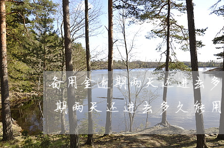 备用金逾期两天还进去多久能用-备用金逾期两天还进去多久能用啊