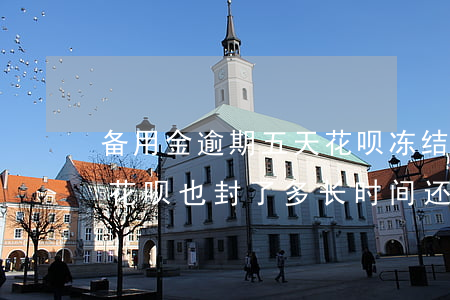 备用金逾期五天花呗冻结(备用金逾期半个月花呗也封了,多长时间还可以用花呗)