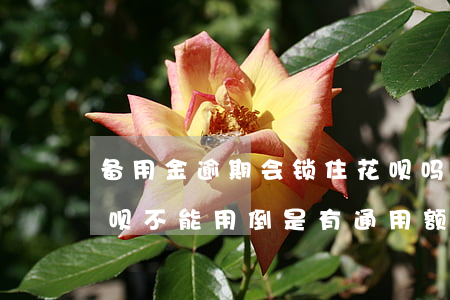 备用金逾期会锁住花呗吗(备用金逾期导致花呗不能用倒是有通用额度)