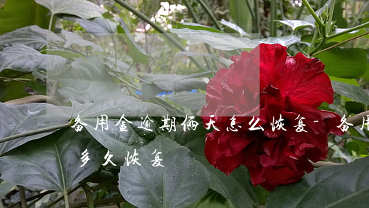 备用金逾期俩天怎么恢复-备用金逾期2天多久恢复