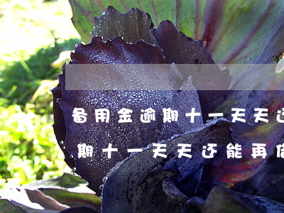 备用金逾期十一天天还能再借吗-备用金逾期十一天天还能再借吗