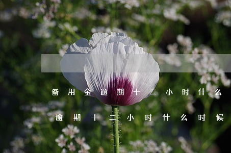 备用金逾期十二小时什么时候恢复-备用金逾期十二小时什么时候恢复额度