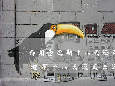 备用金逾期十八天还进去还能用么-备用金逾期十八天还进去还能用么