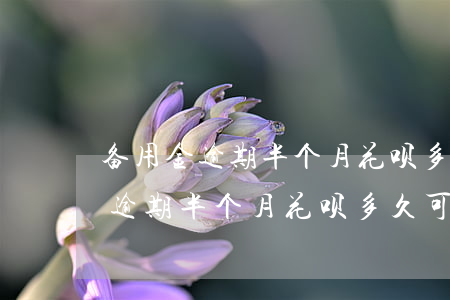 备用金逾期半个月花呗多久可以用-备用金逾期半个月花呗多久可以用啊