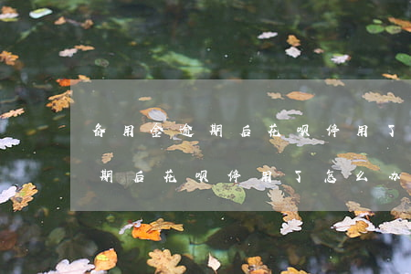 备用金逾期后花呗停用了怎么办-备用金逾期后花呗停用了怎么办呢