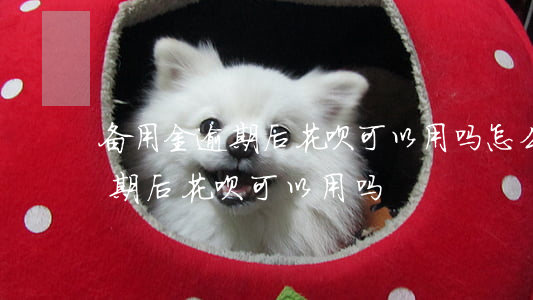 备用金逾期后花呗可以用吗怎么还（备用金逾期后花呗可以用吗）