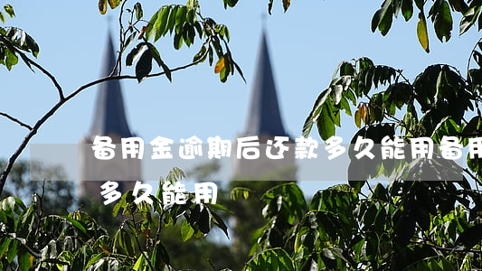 备用金逾期后还款多久能用(备用金逾期还了多久能用)