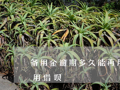 备用金逾期多久能再用(备用金逾期多久能再用借呗)