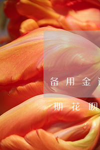 备用金逾期花呗什么时候可以用-备用金逾期花呗什么时候可以用了