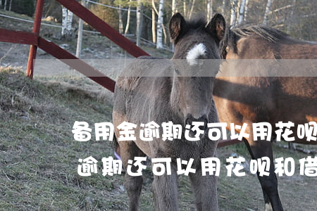 备用金逾期还可以用花呗和借呗吗-备用金逾期还可以用花呗和借呗吗安全吗