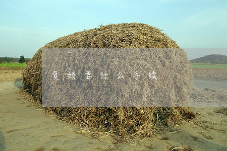 复婚要什么手续