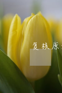 复核原始凭证需注意哪些问题