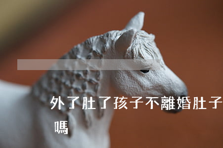外了肚了孩子不離婚(肚子里有孩子可以離婚嗎)