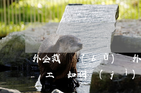 外企裁員補(bǔ)償(外企裁員補(bǔ)償工資如何計(jì)算)