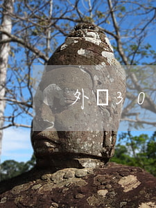 外債30萬怎么辦（外債逾期30萬）