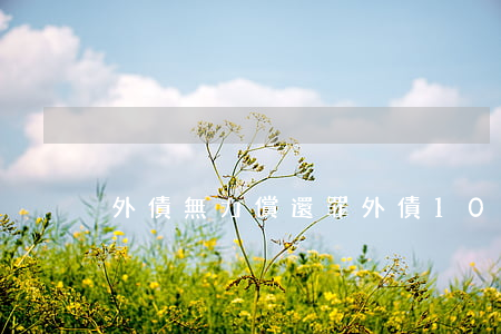 外債無力償還罪(外債100多萬無力還)