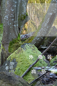 外傷就醫(yī)取保候審(取保候審嚴重疾病范圍參考保外就醫(yī))