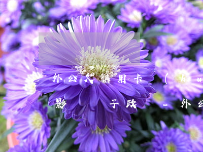外公欠信用卡會(huì)不會(huì)影響孫子政審-外公欠信用卡會(huì)不會(huì)影響孫子政審呢