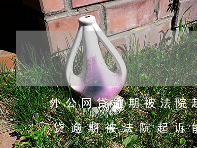 外公网贷逾期被法院起诉能当兵吗-外公网贷逾期被法院起诉能当兵吗有影响吗