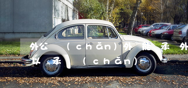 外公遺產(chǎn)外孫能繼承嗎(外孫可以繼承財產(chǎn)嗎)