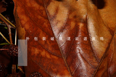 外包裝破損還能退貨嗎