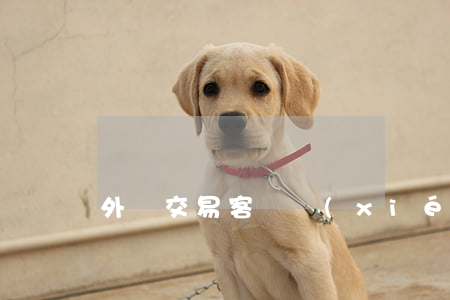 外匯交易客戶協(xié)議