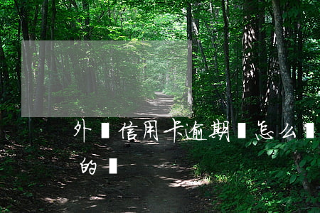 外匯信用卡逾期會怎么樣(有處理信用卡逾期的嗎)