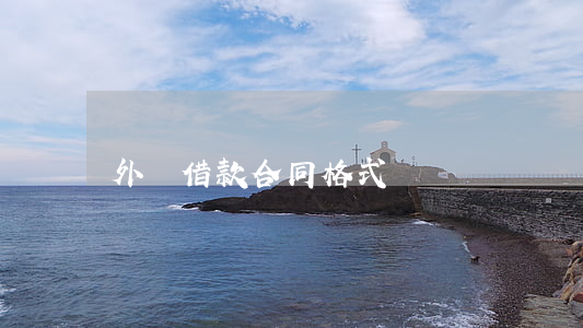 外匯借款合同格式