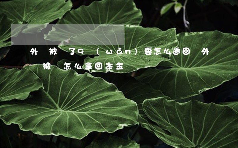 外匯被騙了9萬(wàn)要怎么追回錢(外匯被騙怎么拿回本金)