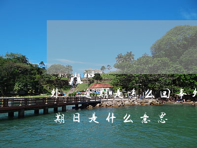 外匯逾期是怎么回事 外匯申報(bào)逾期日是什么意思