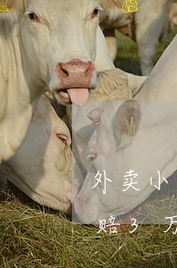 外卖小哥信用卡逾期被起诉(起诉外卖小哥索赔3万)