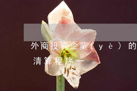 外商投資企業(yè)的破產(chǎn)清算程序（一）