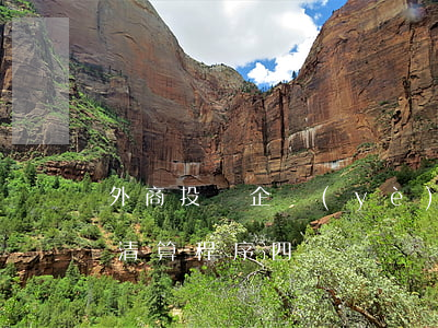 外商投資企業(yè)的破產(chǎn)清算程序（四）