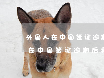 外国人在中国签证逾期后果是什么-外国人在中国签证逾期后果是什么样的