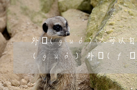 外國(guó)人可以自己參加訴訟嗎(在國(guó)外發(fā)生的糾紛,在國(guó)內(nèi)可以起訴嗎)